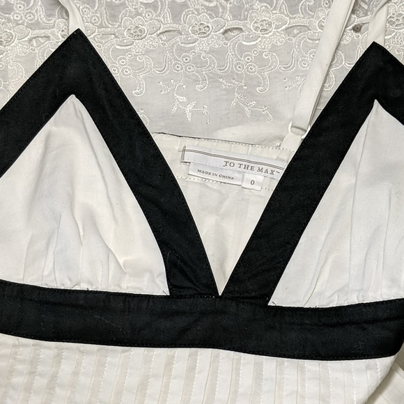 To The Max Pleated Embroidered Dress - Picture 6 of 7